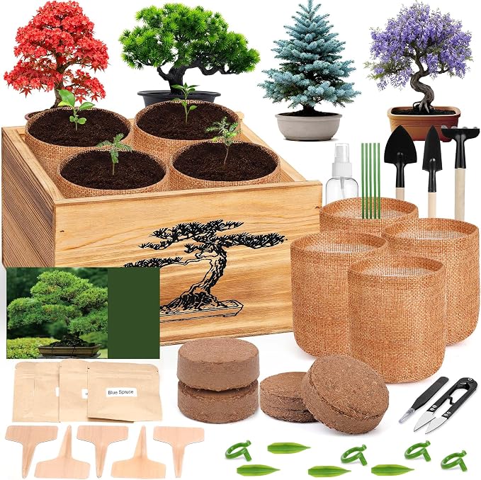 4 Pack Bonsai Tree Kit - 4 Seeds Growing Plant Bonsai Tree Live Kit for Beginners, Easy to Grow Complete Indoor Garden Starter Kits with Wooden Box & Tools, Christmas Gifts for Men Women Plant Lover