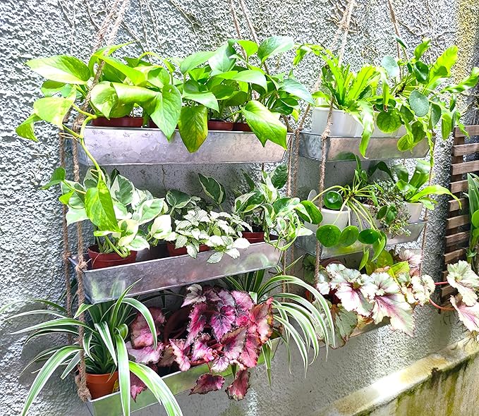 LaLaGreen Wall Hanging Planter