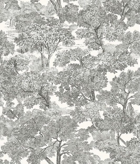 Chesapeake Black Spinney Toile Wallpaper, Strippable, 20.5 in x 33 ft