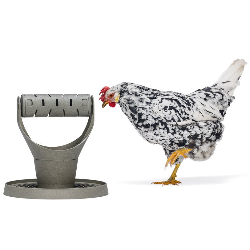 Backyard Chicken Feed Tower â Feeder Promotes Exercise and Mental Stimulation