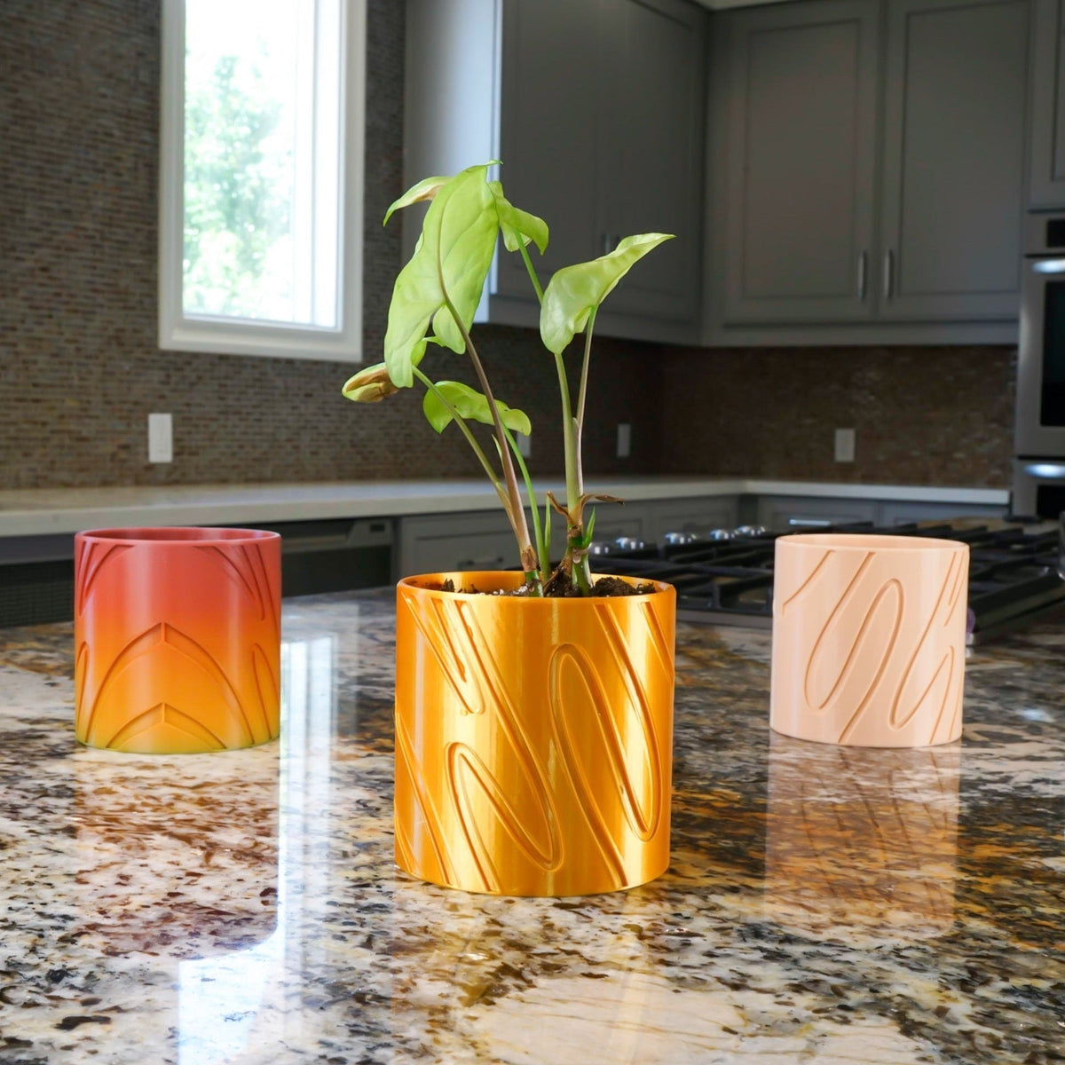 Double Rainbow Planter