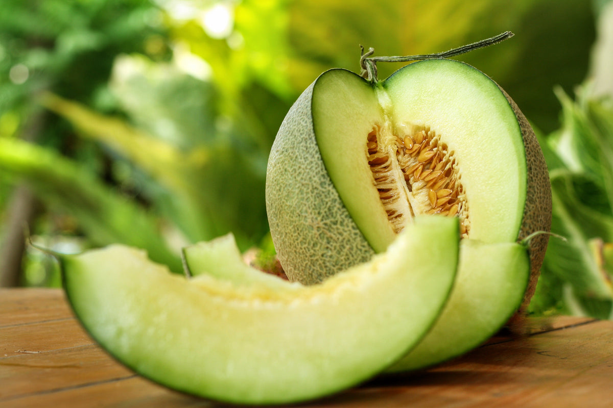 75 Green Flesh ROCKY FORD CANTALOUPE Muskmelon Cucumis Melo Melon Fruit Seeds