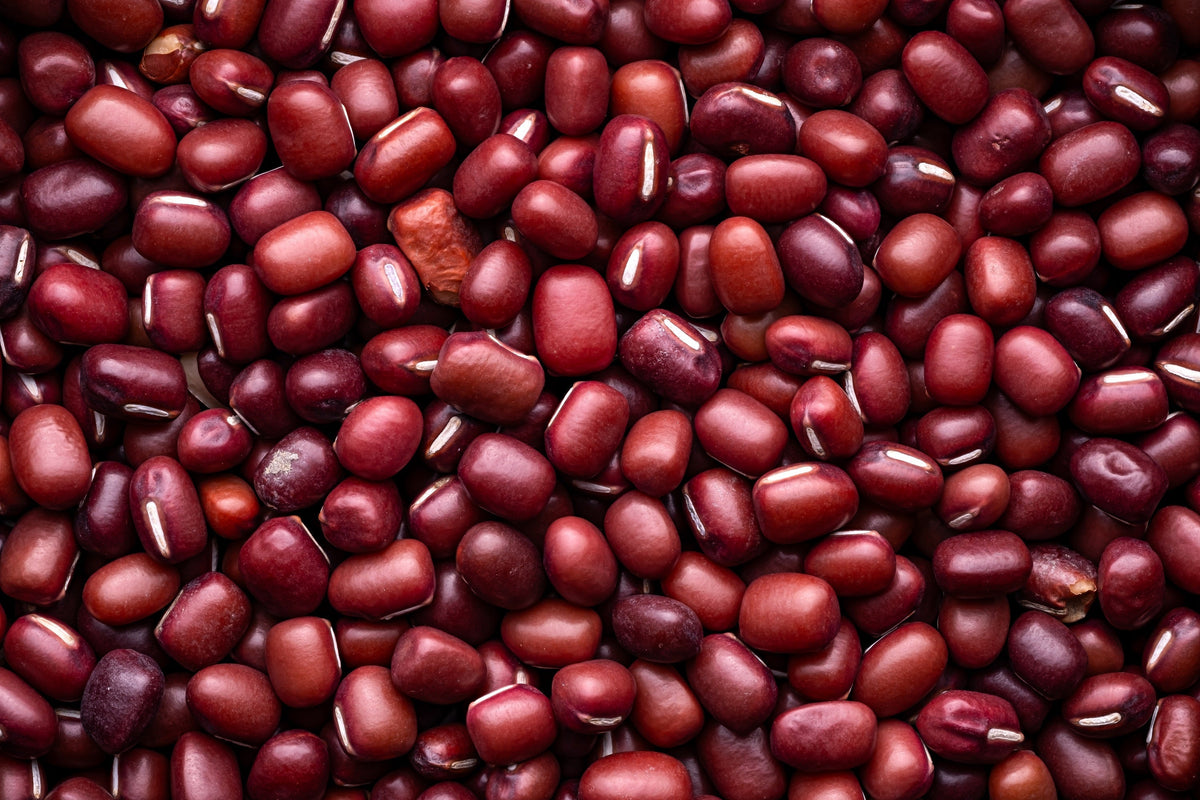 50 ADZUKI BEAN Aduki Red Bean Maroon Phaseolus Angularis Legume Vegetable Seeds