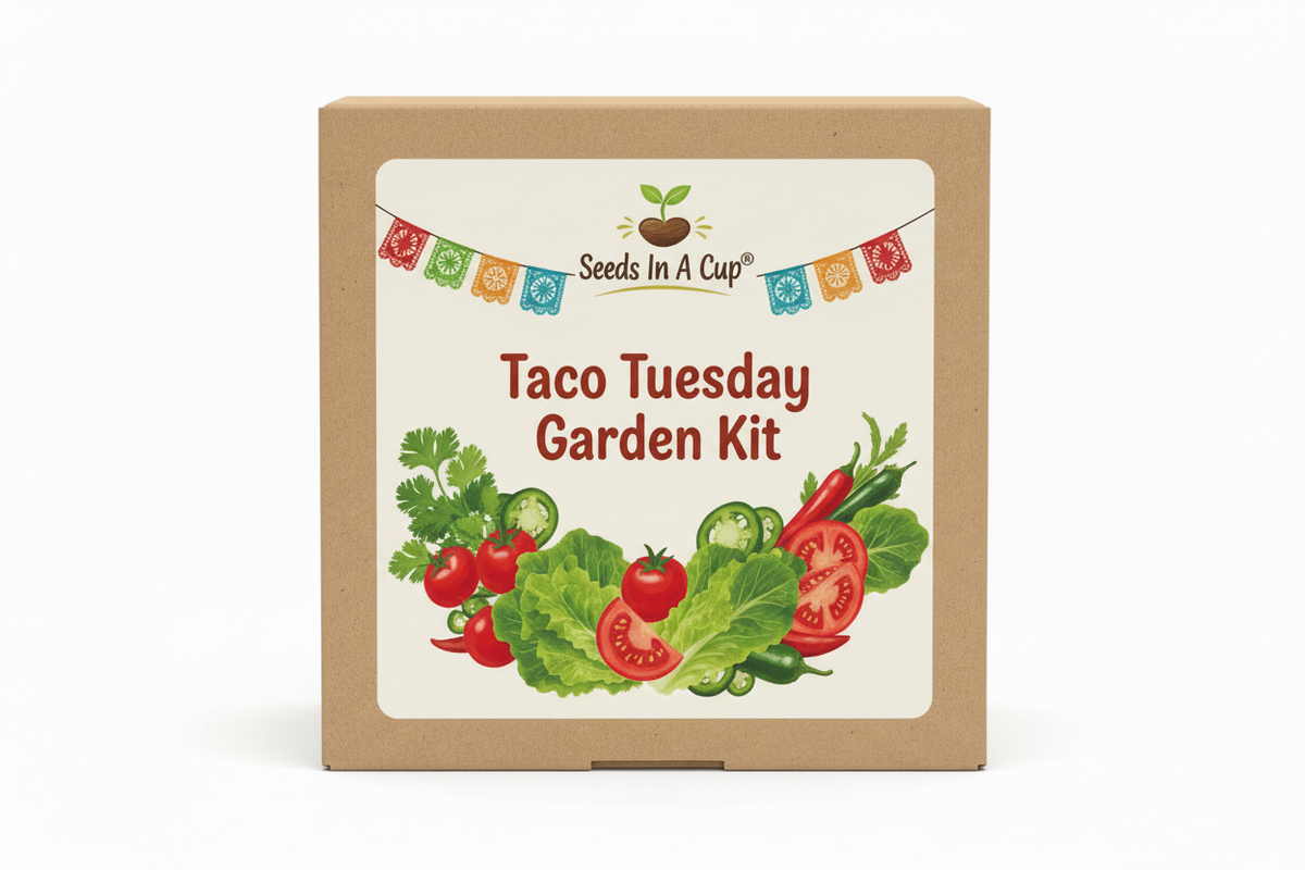 Taco Tuesday Garden Kit | Tomato, Cilantro, Lettuce & Jalapeno Pepper | Seeds In A CupÂ®