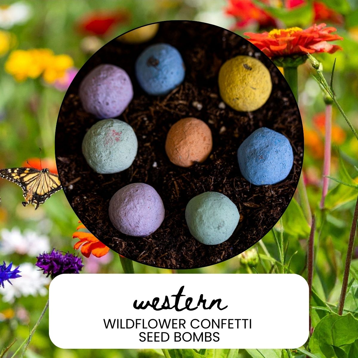 Western Wildflower Garden Confetti Seed Balls